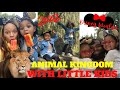 Disney’s Animal Kingdom with Little Kids/Toddlers 2022!! NEW!!! #disneyworld #animalkingdom