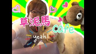 台北之旅Day 2 ~ 草泥馬cafe（伊亞藝術咖啡館）、淡水老街20-5 ...