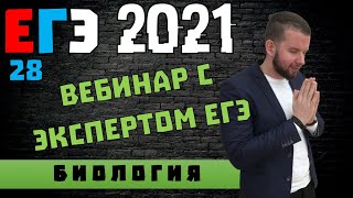 28 задание на максимум! Вебинар с Экспертом ЕГЭ | БИОЛОГИЯ ЕГЭ 2021