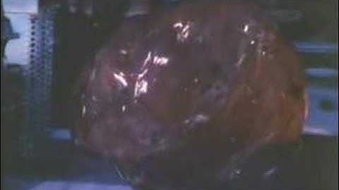 the blob stopmotion 1958