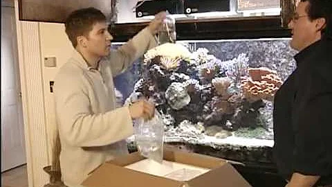 REEF TV produced, directed, created by Ron Wishna
