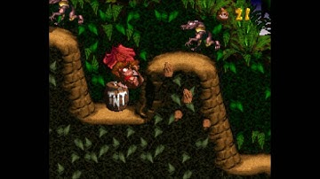 Donkey Kong Country: 101% - Level 1-5: Barrel Cannon Canyon