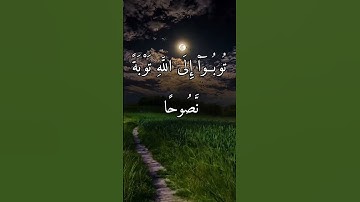 سورة التحريم.  "لا شيء أجمل من قلبٍ رجع إلى الله."