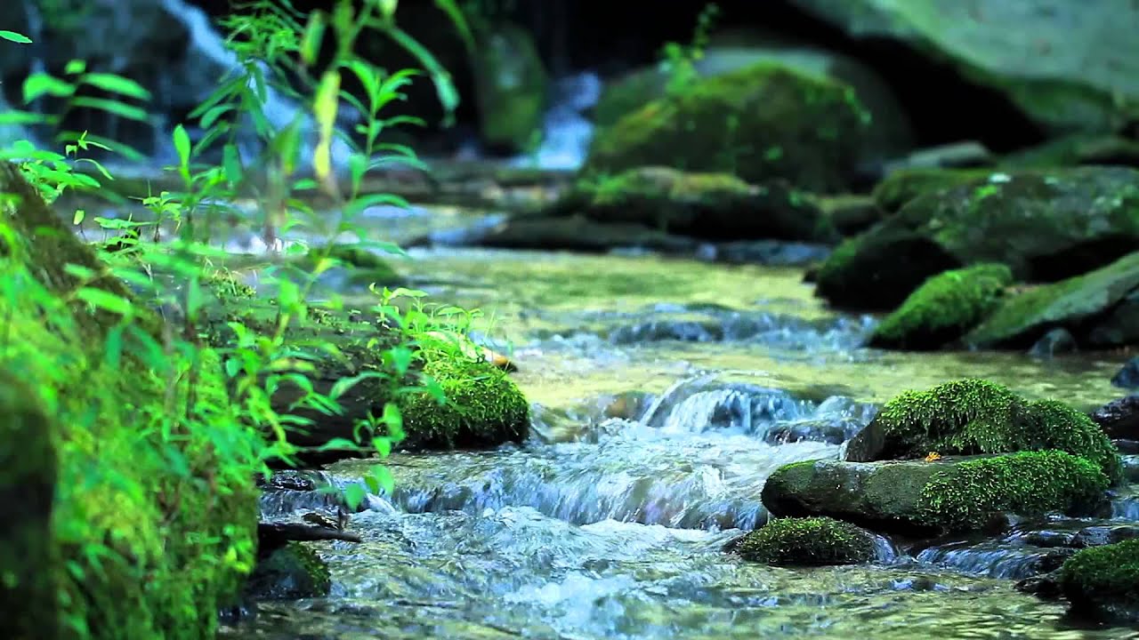 Nature Sounds Without Music 10 Minutes Of A Mountain Stream Youtube