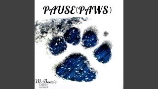 Pause (Paws)