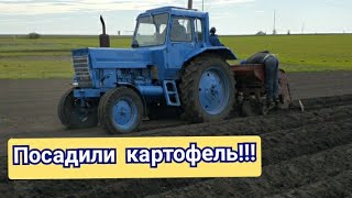 Посадка Картофеля С Помощью Трактора Мтз 80!