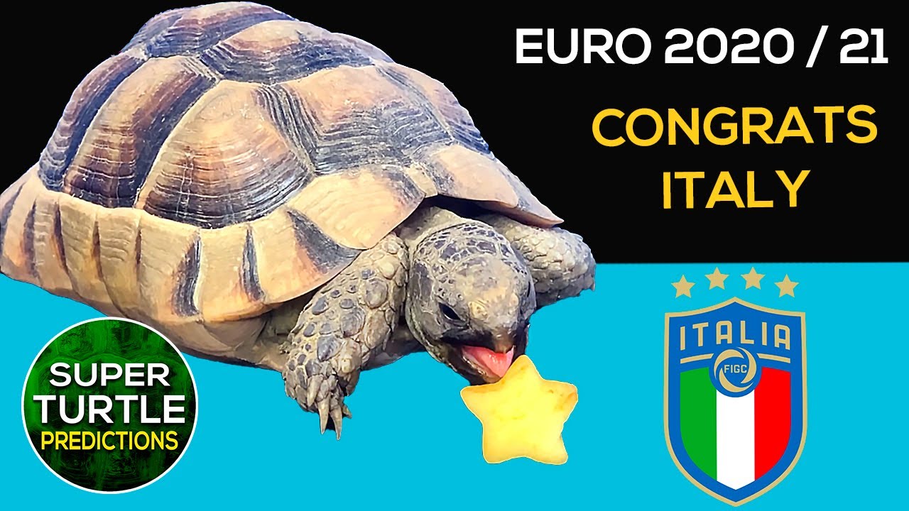 UEFA Euro 2020 Winner ⚽ Football Prediction 2021 🐢 Congrats Italy 🏆