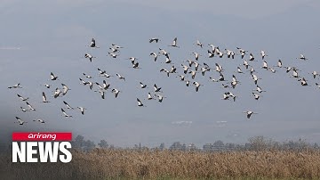 Recent bird flu wave increases risk of transmission to people: OIE
