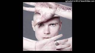 Billy Corgan - The Camera Eye
