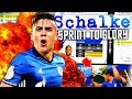 FIFA 17 : 3 SAISONS + 3 WELTKLASSE STs = CL TITEL !!! 🏆💪😍 FC Schalke 04 Sprint To Glory