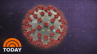 First Documented Case Of COVID Reinfection Raises New Concerns About Virus | TODAY