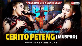 Download lagu Niken Salindry - Cerito Peteng (Muspro) -