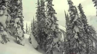 The Stoked Guest at Stellar Heli Skiing