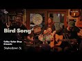 Bird Song. Shakedown Street live at Colfax Guitar Shop's Tiny Shop Concert.