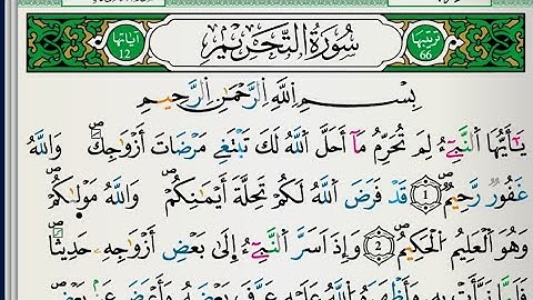 سورة التحريم القرآن الكريم QURAN -At-Tahrim🌸
