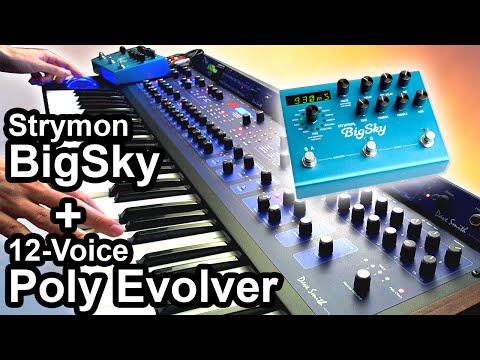 DSI POLY EVOLVER (12 Voices) + Strymon BIG SKY - Ambient Chillout Music 【SYNTH DEMO】