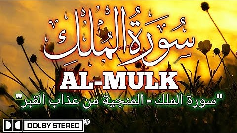🤲 سورة الملك: تلاوة عذبة تحميك من عذاب القبر
