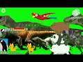 Animal Stampede Green Screen Add Round 100