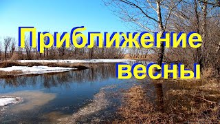 Приближение весны