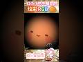 你看過12個小時不睡覺的炫彩RGB橘子嗎？「橘 爱日梨Tachibana Aihiri」 #vtuber #橘愛日梨 #SliceToranges #台灣 #台V #馬v #short #星穹铁道