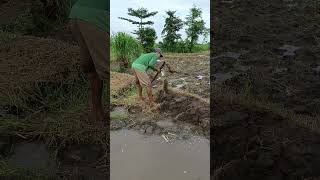 macul metali galengan