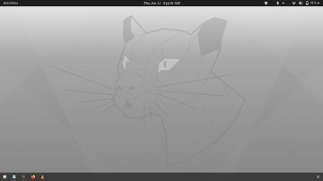 Integer number Division in Python using Linux.