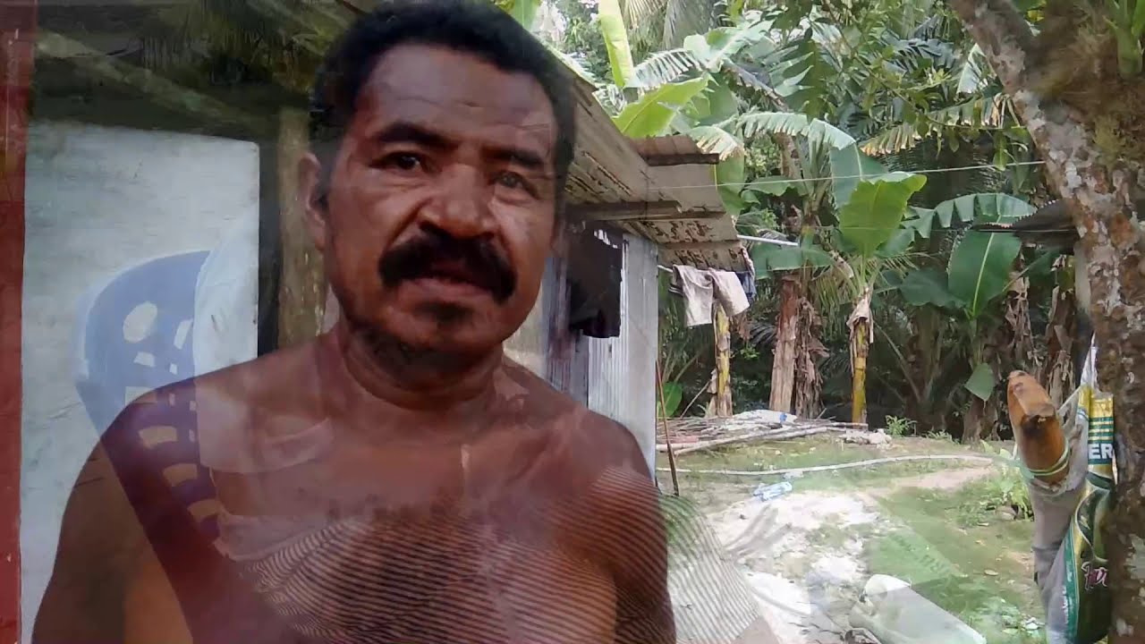 Rumkorem Septinus Rumkorem Menanam Mangrove di rawa-rawa akibat Tsunami - YouTube