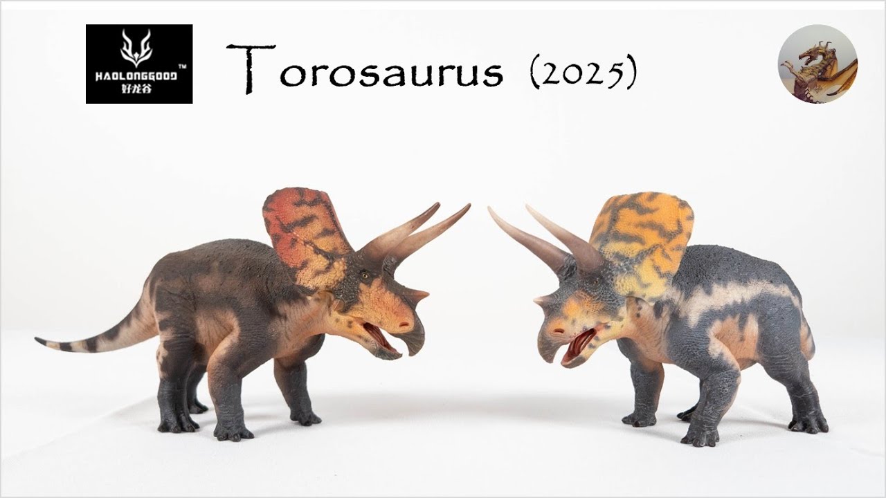 349: Haolonggood (好龙谷) Torosaurus 2025 Review