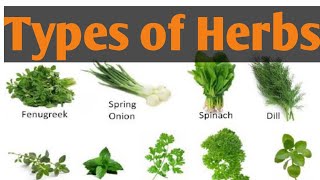 Types of Herbs|| different types of Herbs Names || Herbs ||  lunatic Cook