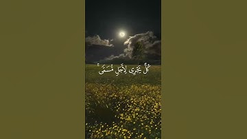 اللَّهُ الَّذِي رَفَعَ السَّمَاوَاتِ بِغَيْرِ عَمَدٍ تَرَوْنَهَا |القارئ محمد صديق المنشاوي