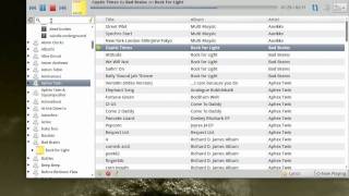 xnoise media player v0.1.28 screenshot 4