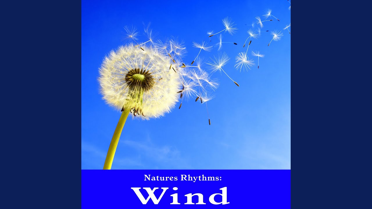 Sustained Shimmering Wind for Deep Relaxation and Well Being