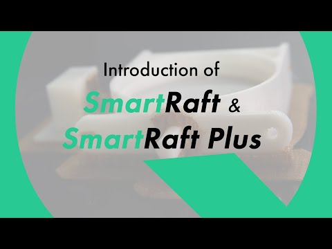 Introduction of SmartRaft