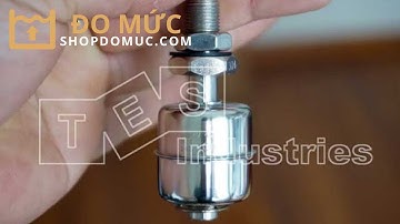 Cảm biến báo mức kiểu phao từ Mini loại Inox Finetek FD3001DE