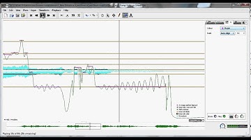 Camp levee holler - analysis of the blues scale with sonic visualizer (notes added