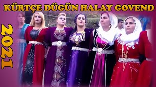 Halay Govend Cida Imad Selim Imad Memed 2021 Yeni