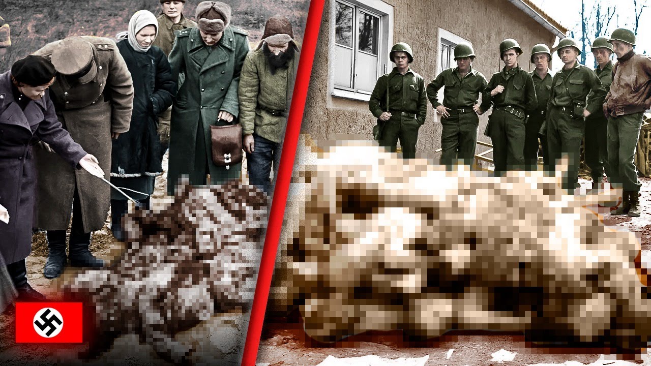 ¿Qué Pasó Cuando los Aliados Descubrieron los CAMPOS de CONCENTRACIÓN?