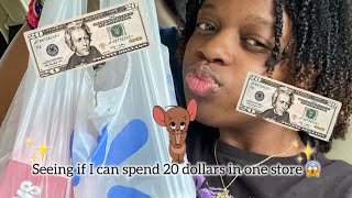 Trying to spend 20 dollars in one store 