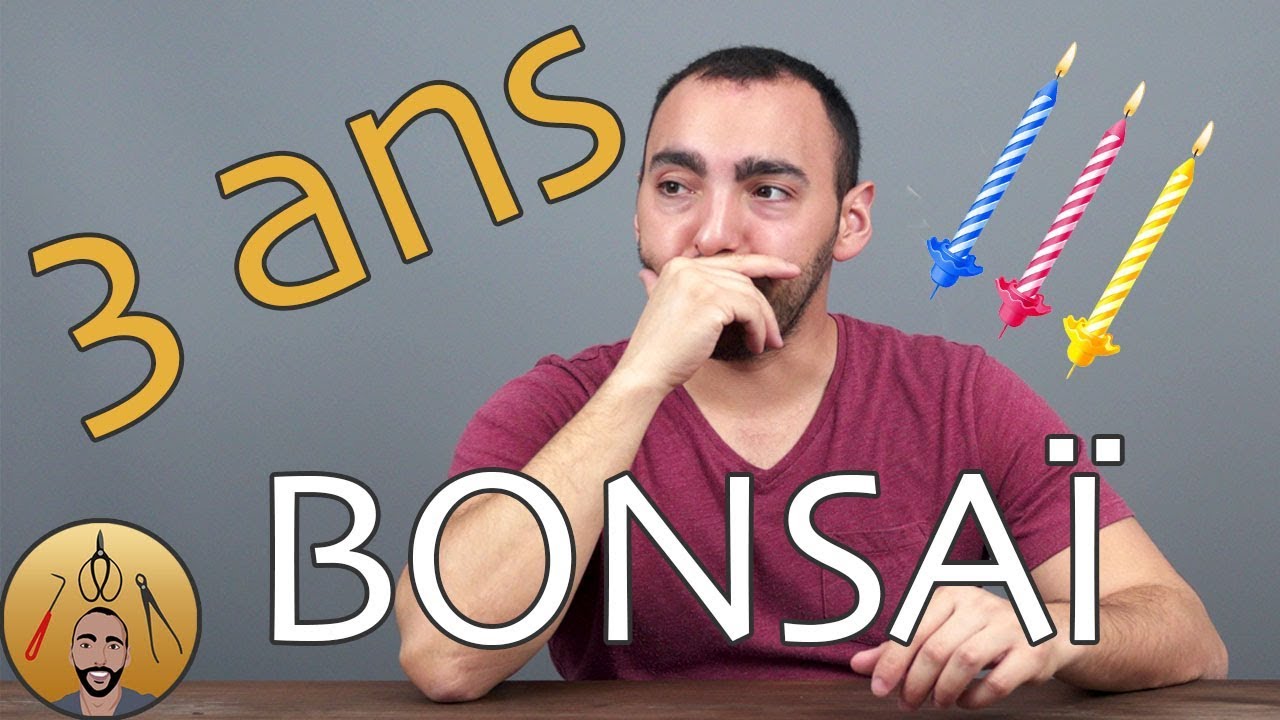 Mes 3 premières années dans le BONSAÏ 🌳AFDB🌳