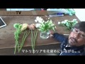 Vol49: ガーベラを使って花を活ける。【L'arbre TV】