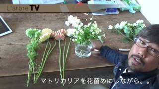 Vol49: ガーベラを使って花を活ける。【L'arbre TV】