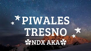 Piwales tresno (Jancuk koe malah minggat ro liyane ajur atiku sak kabehe) - NDX AKA - lirik lagu