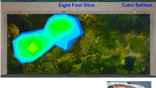Tracking Fish Behavior in Real-Time at the Seattle Aquarium