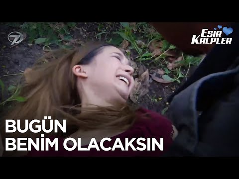 Kıza Zorla Sahip Olmaya Çalışıyor | Esir Kalpler 11. Bölüm