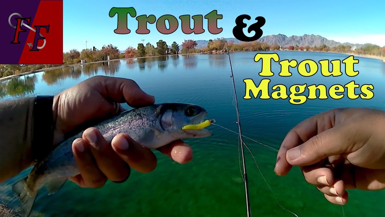 How To Fish TROUT MAGNETS In Creeks Or Rivers (WE GOT A CUTTY