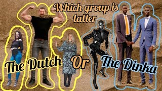 Dutch vs. Dinka: Who's Taller? | A Height Comparison