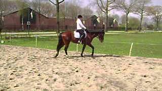 Zazou11042012 011.AVI