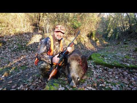 Wild Boar Hunting with Quich Detachable Mount by Contessa in Marcheno, Brescia, Italy