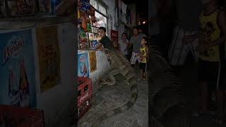 El mismísimo “iguanón” . . . . . #bodyhorror #aislop #ㅇyㅇ #aivideo