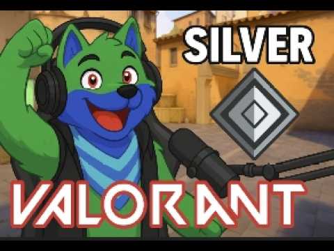 stream valo chill